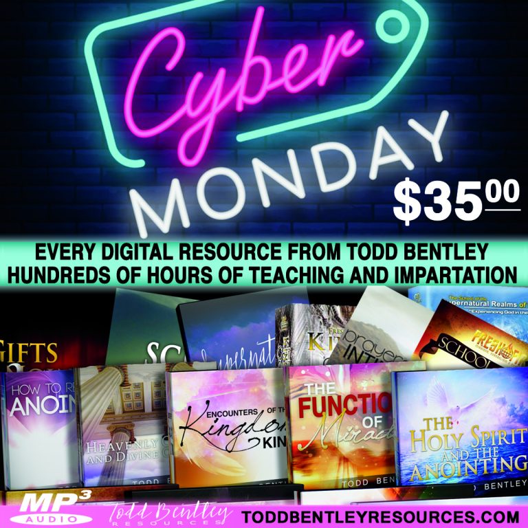 Cyber Monday Deal - 21 Teaching Series and Schools Together